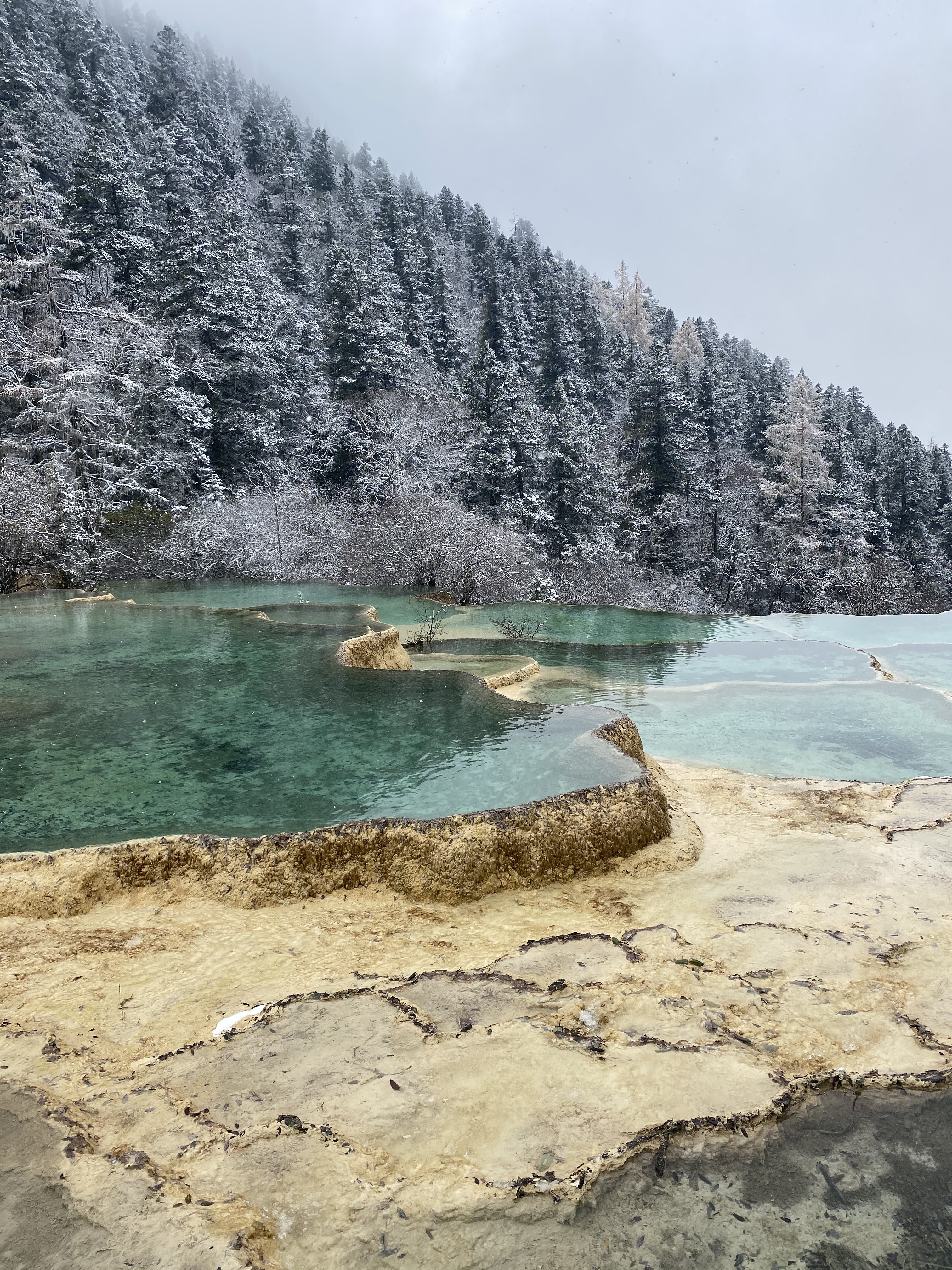 雪之黄龙，美之意外