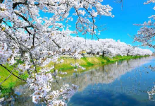 高田城景点图片