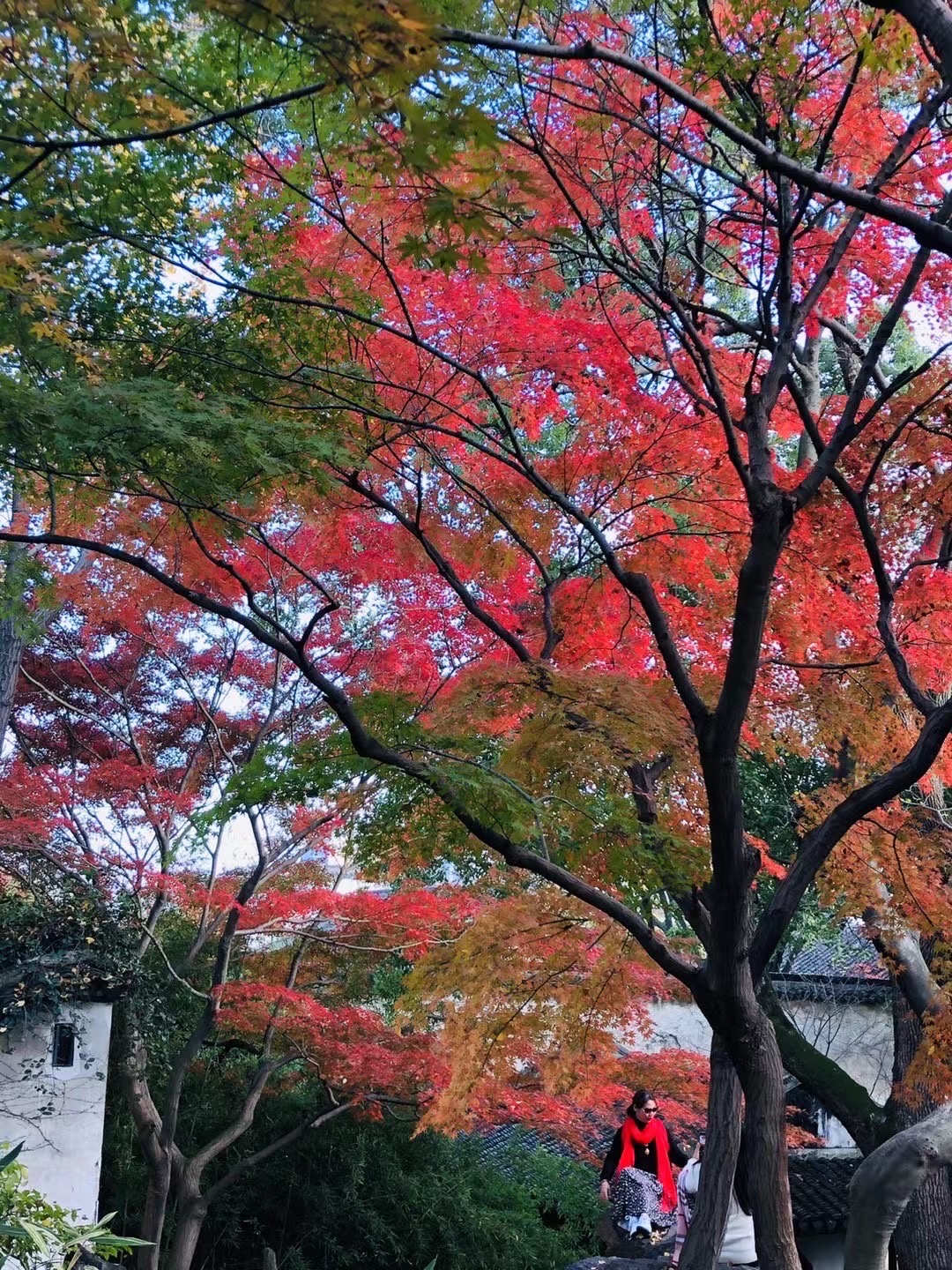 好味道蛋糕店(太平镇店)餐厅图片