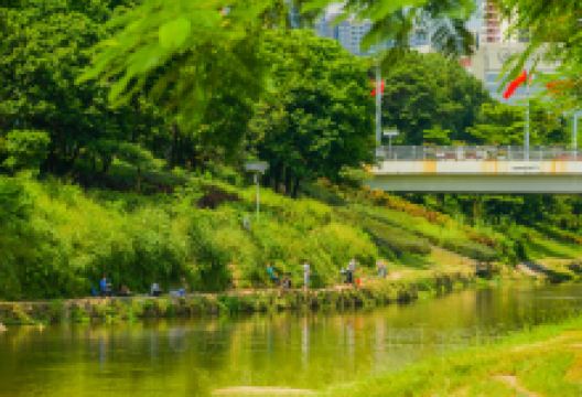 清湖文化公园景点图片