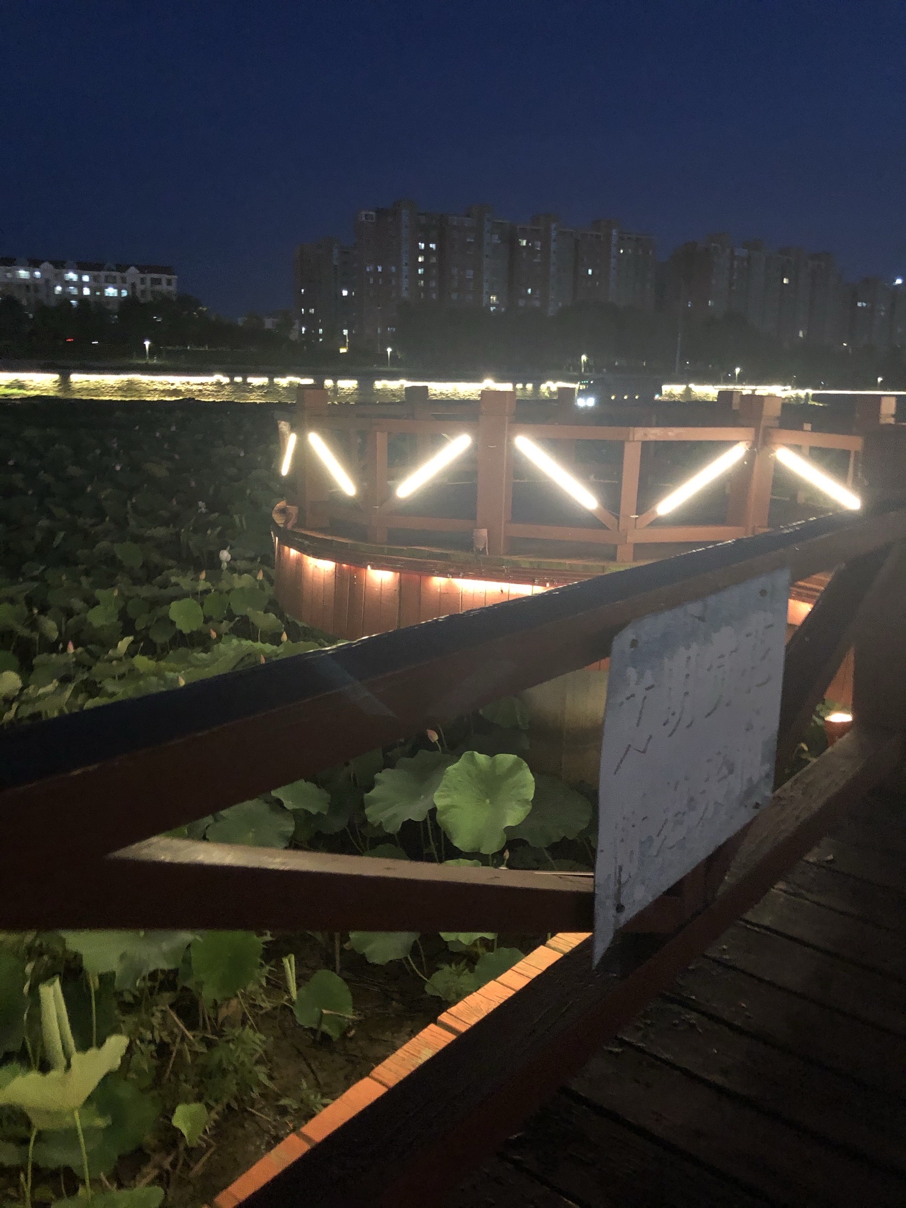 夜游豹龙河