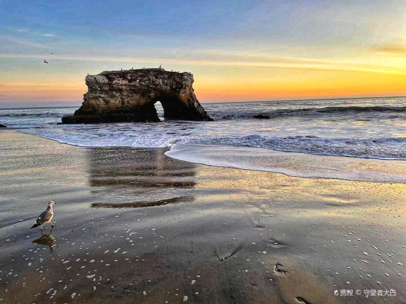 Santa Cruz CA.