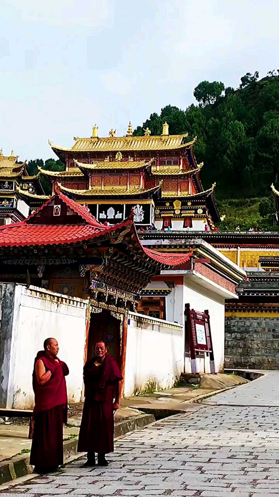 甘南藏族郎木寺镇，我国唯一没有树的城市，