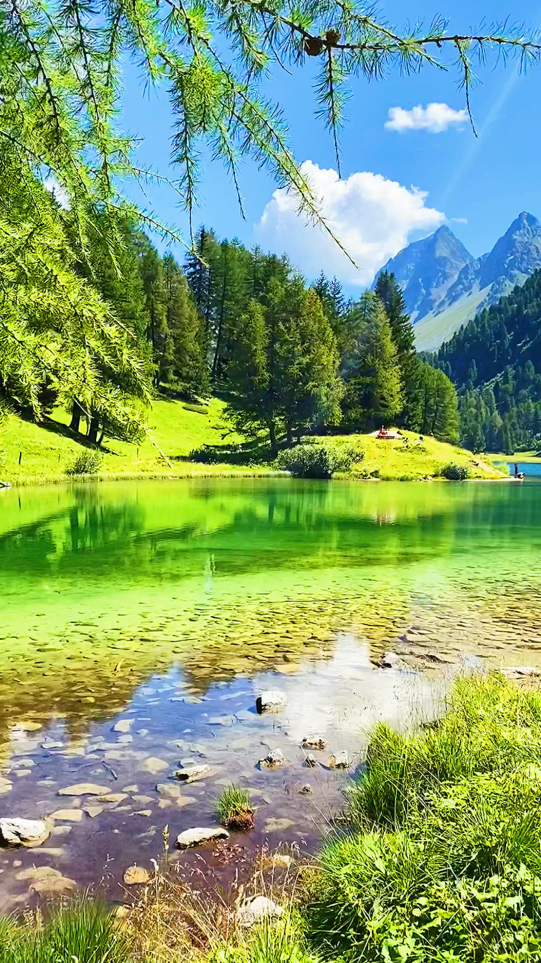 瑞士阿尔卑斯湖泊，美如画～