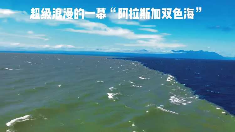 超级罕见的"阿拉斯加双色海",如此浪漫的一幕,第一时间你会分享给