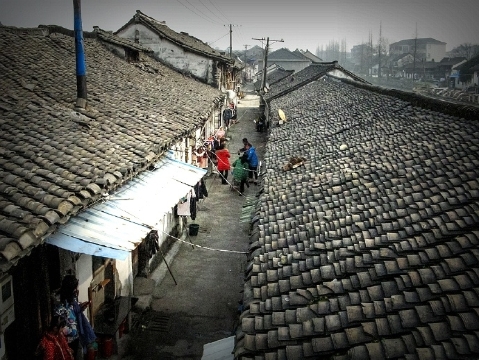 天下第一面(新仓镇店)