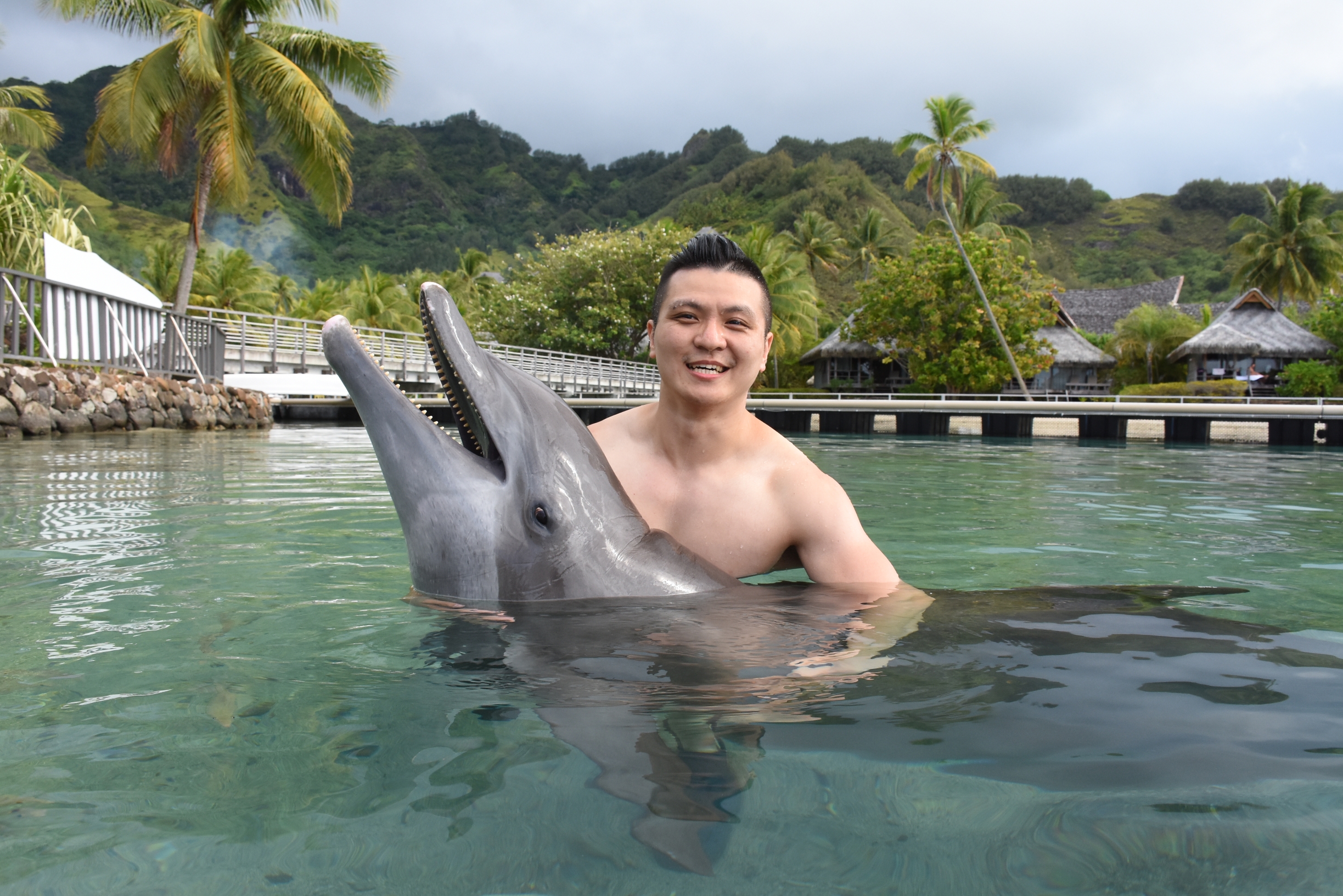 莫雷阿岛洲际不知还能否恢复，想念海洋生物