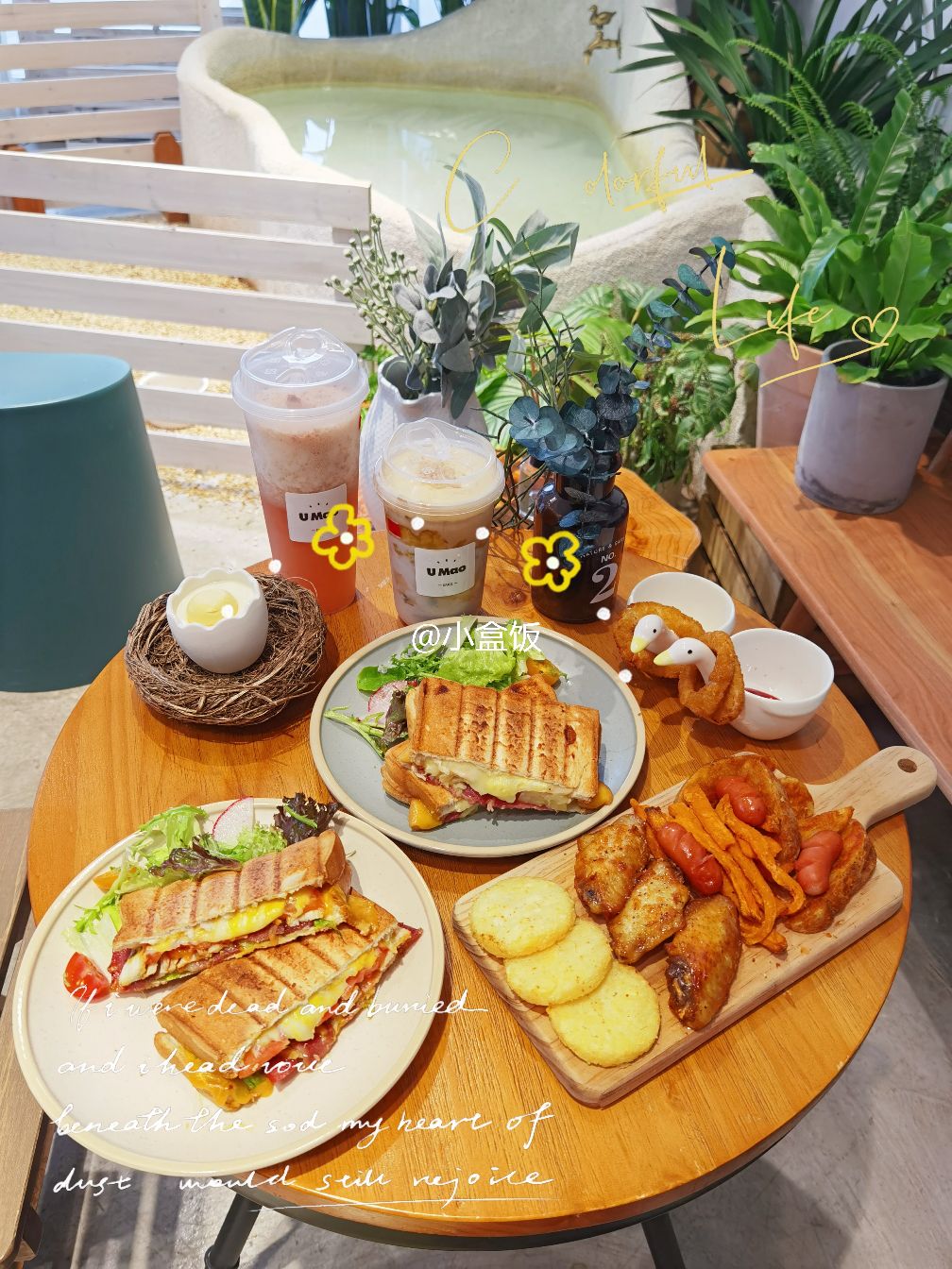 有毛之地 UMao space