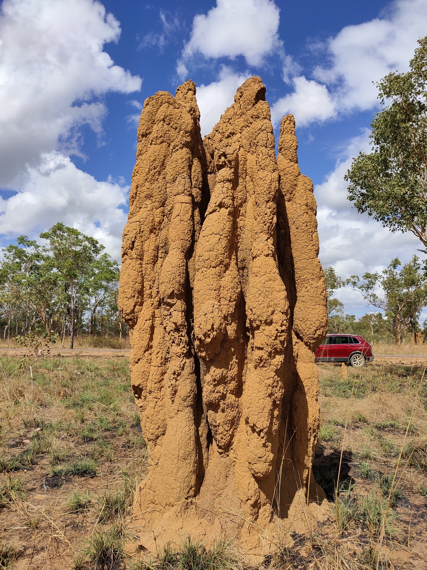 澳洲巨型蚁穴