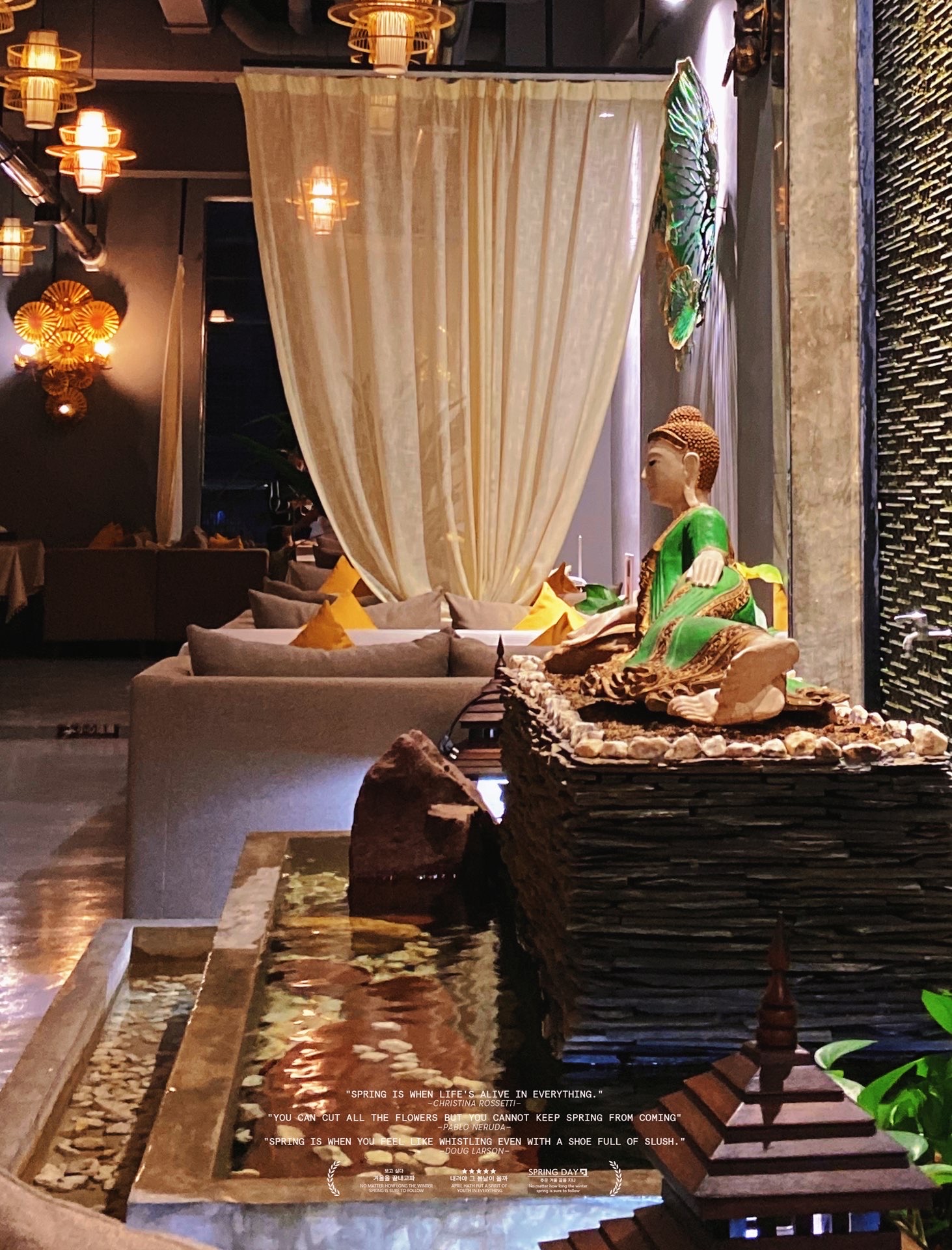 泰芙莲餐厅图片