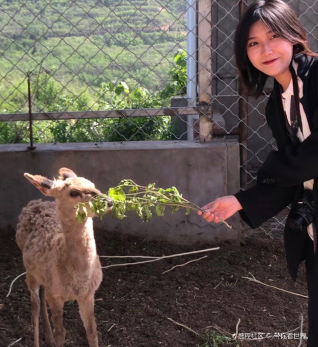 河南"小奈良"黄鹿山i河南境内游