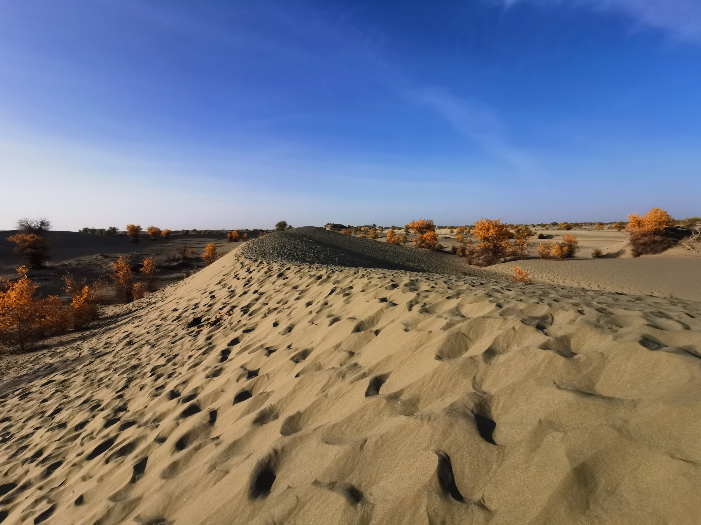 塔克拉玛干沙漠 — 死亡之海