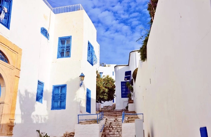 突尼斯的西迪布塞和希腊的圣托里尼、印度的焦特普卫，并称是世界上、最浪漫的蓝白小镇。岛上是简洁的蓝和白