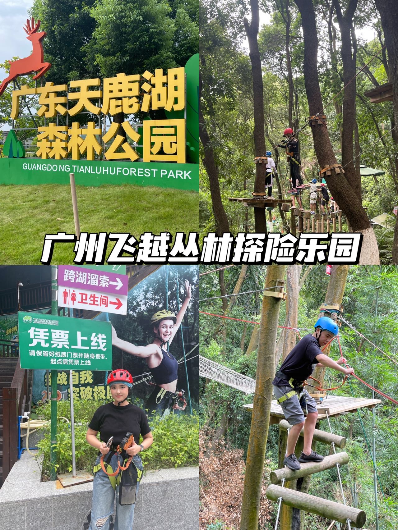 广州飞越丛林探险乐园|夏日避暑胜地‼️