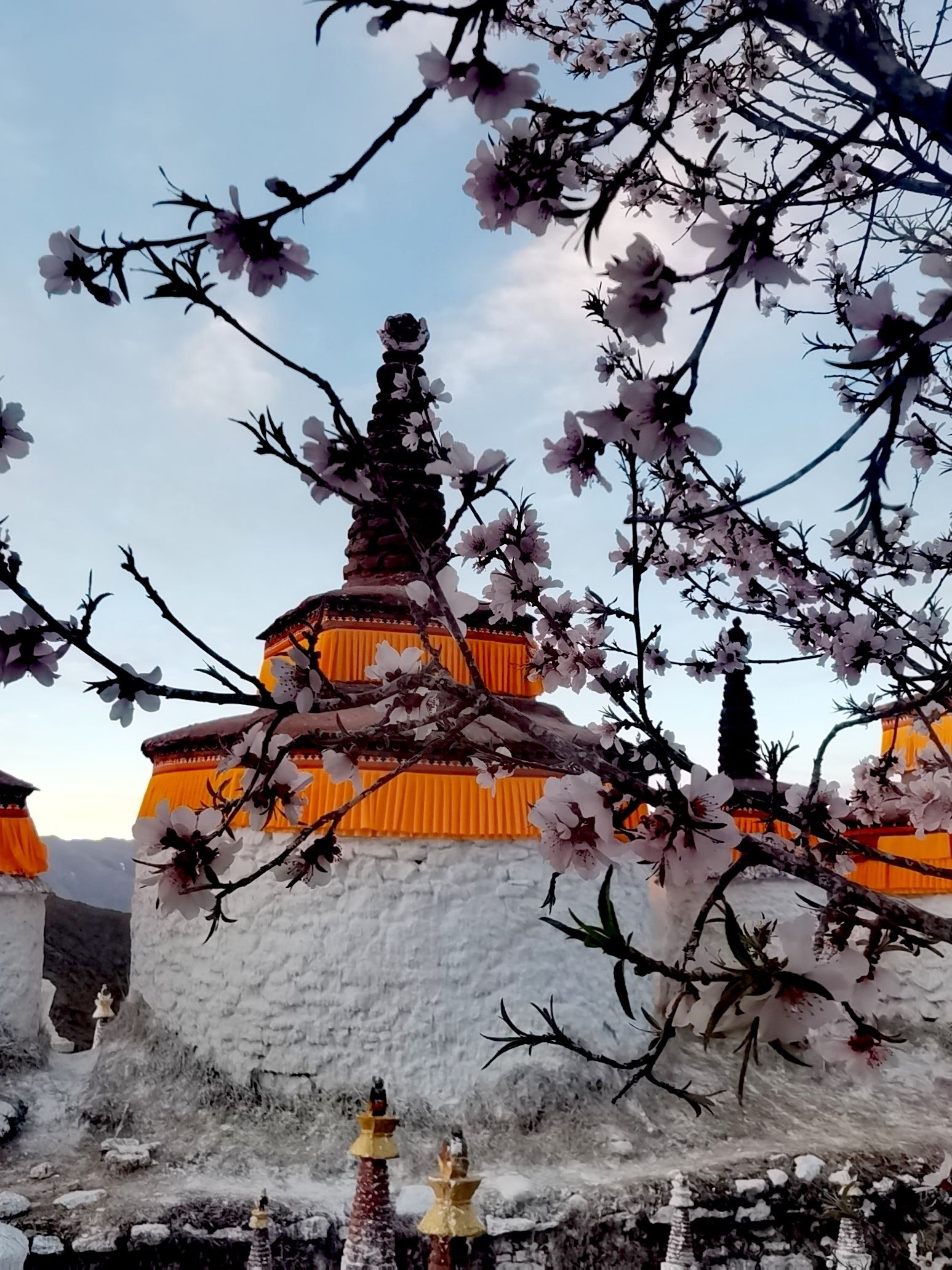 西藏/拉萨城最美塔林/春天的桃花不容错过