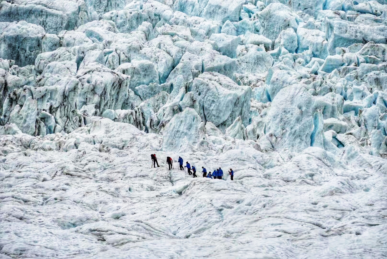 新西兰之旅（三）|弗朗兹约瑟夫冰川