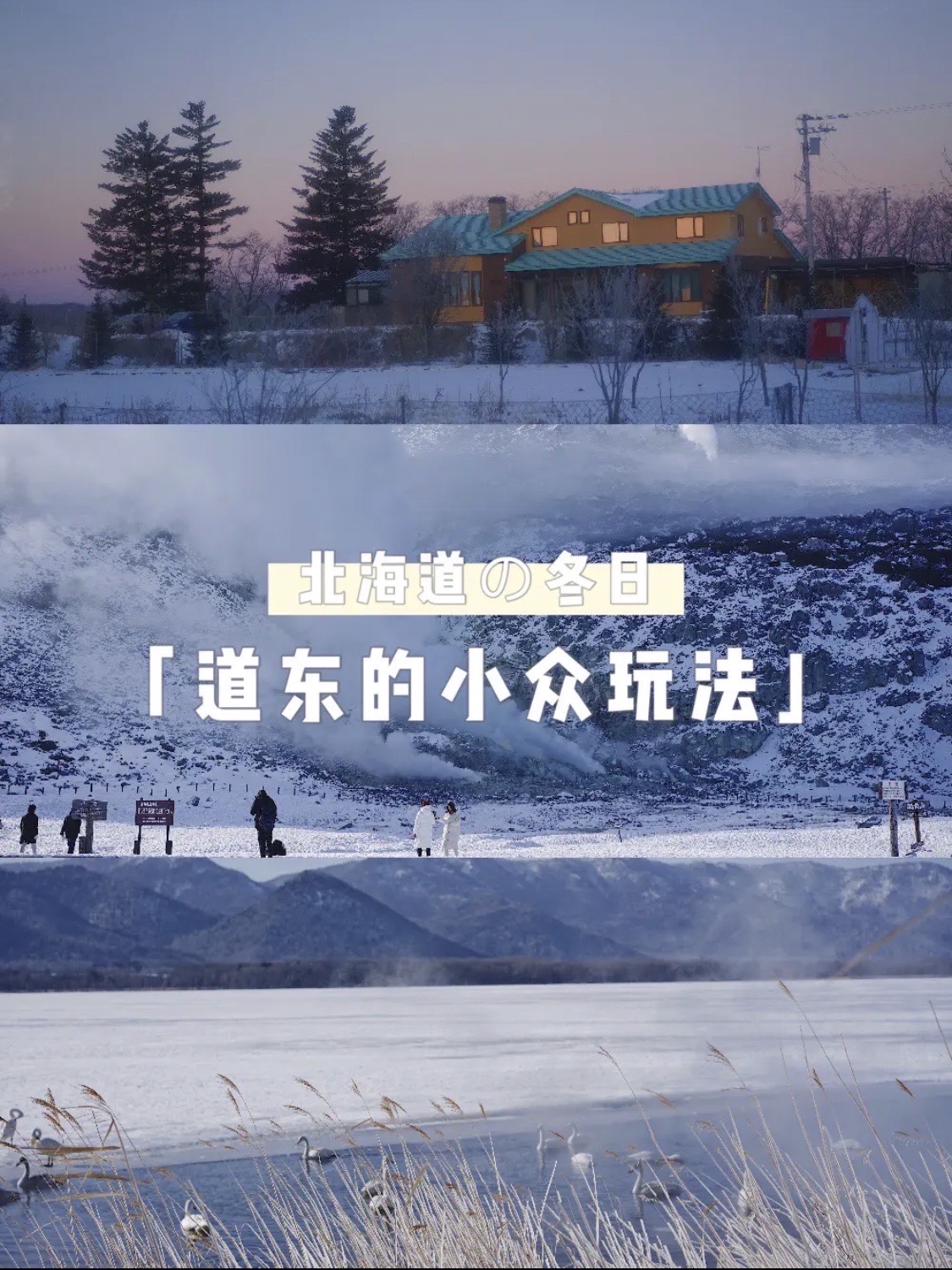 ❄️❄️北海道不要再只去 小樽 、 函馆 啦！  🧣北海道的第一站，来到了道东！打卡屈斜路湖！  🦩
