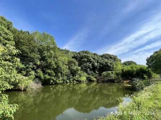 舜过山森林公园