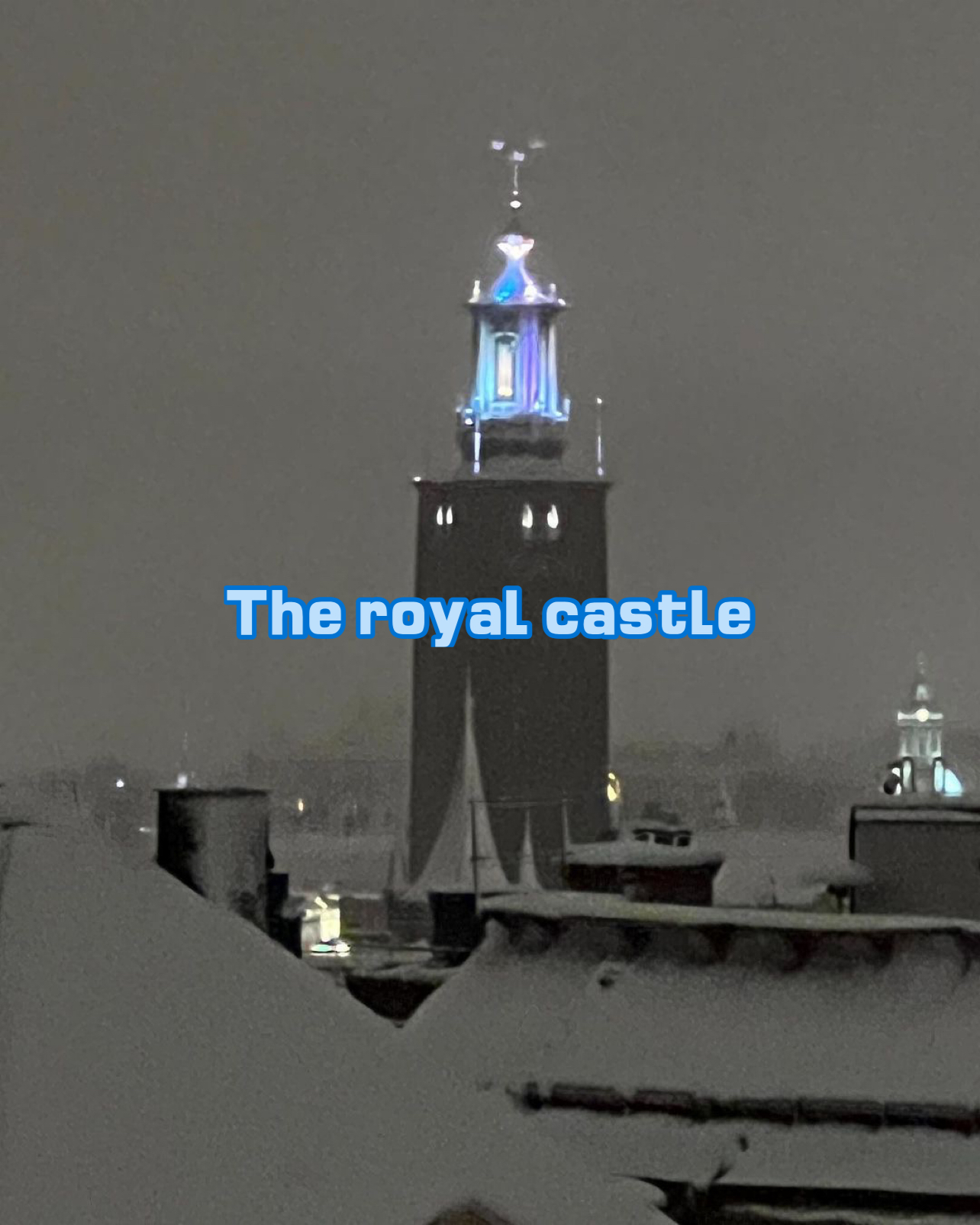 The royal castle