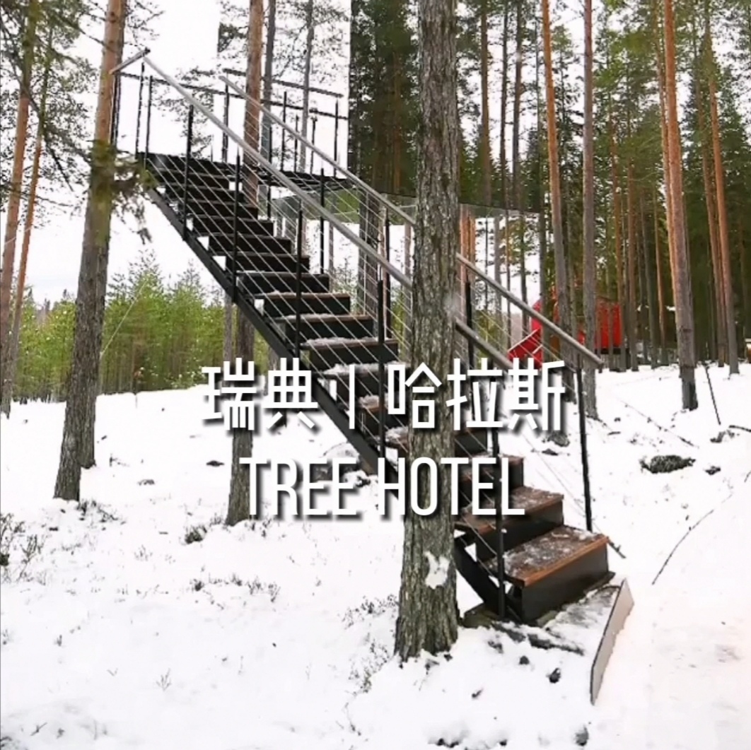 瑞典 | Tree Hotel 树酒店
