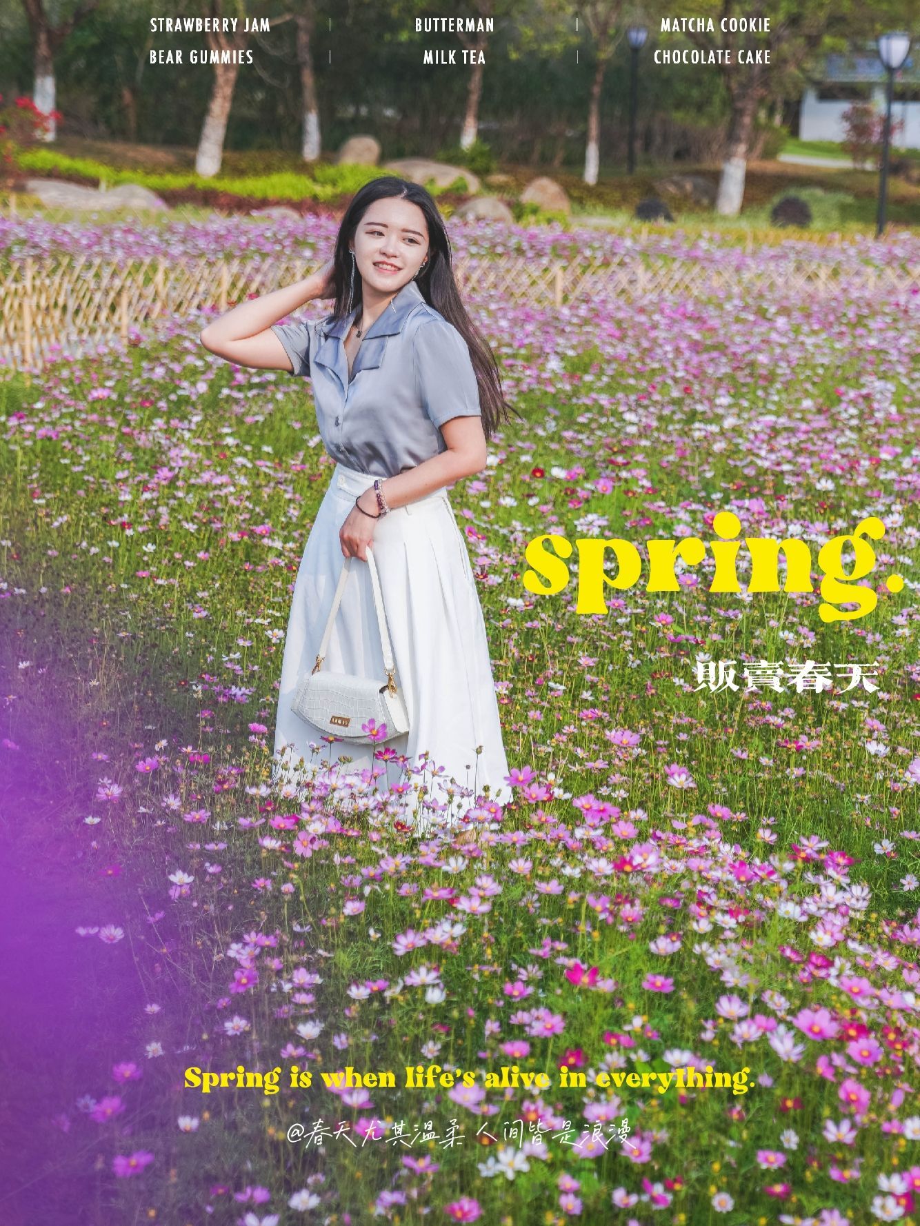 广州 | 免费赏春圣地，一大片紫雏菊花田