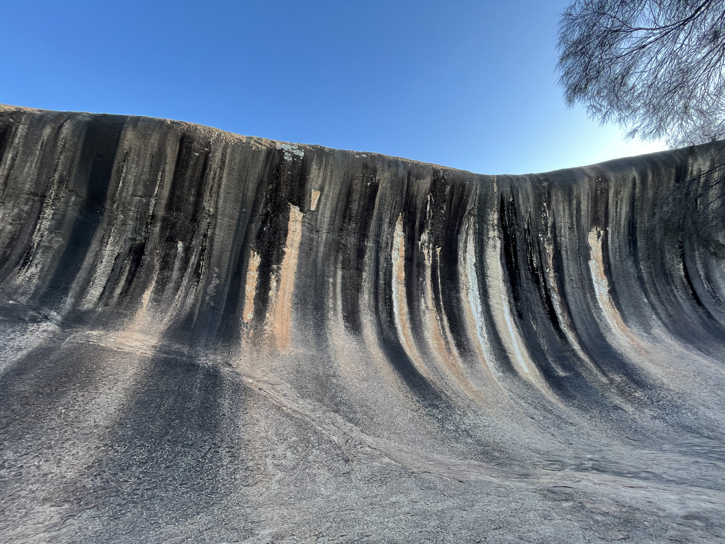 Day7 西澳-Wave Rock 波浪岩