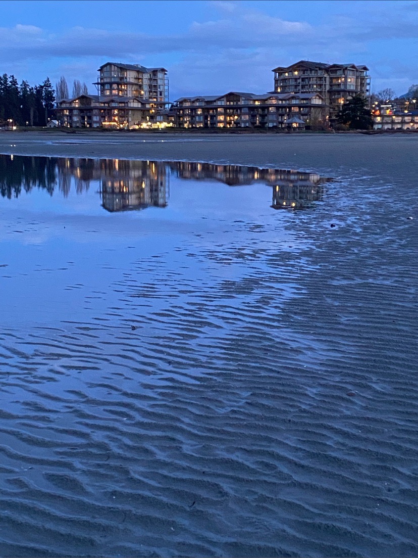 这个酒店还行。楼层高的风景更美！据说这片沙滩有象拔蚌可以挖，挖了几天都没有任何收获…太难了