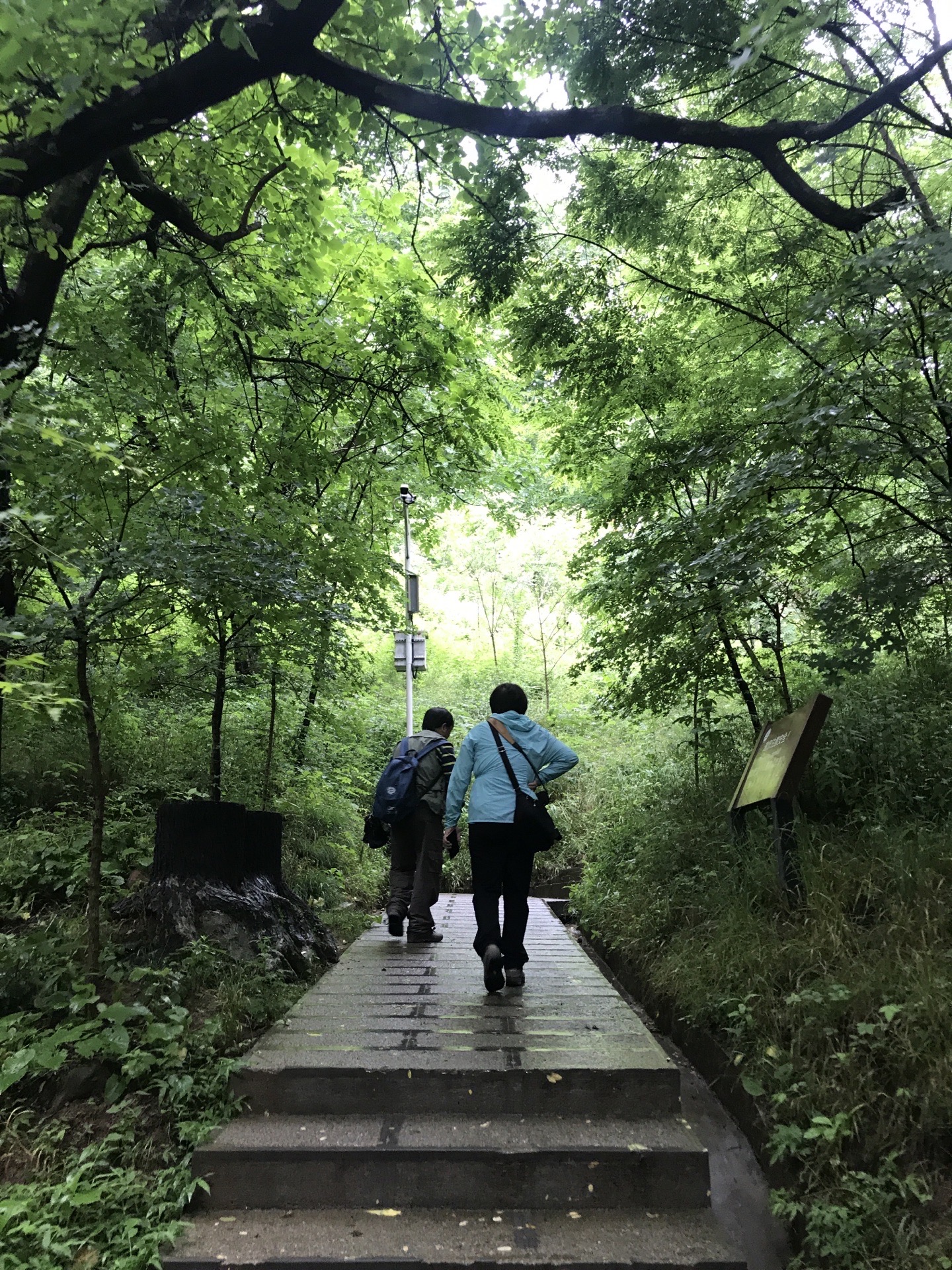 天水另外一处必打卡地：仙人崖景区。