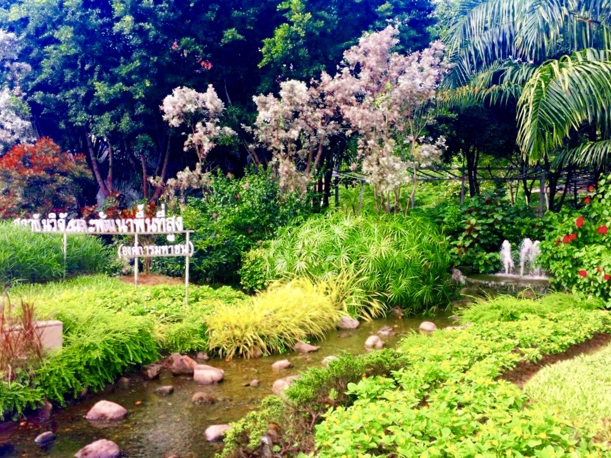 清迈的拉查帕花园，在素贴山下，环境幽美，空气清新，占地巨大。不同的主题公园，兰花园，荷兰园，中国园。