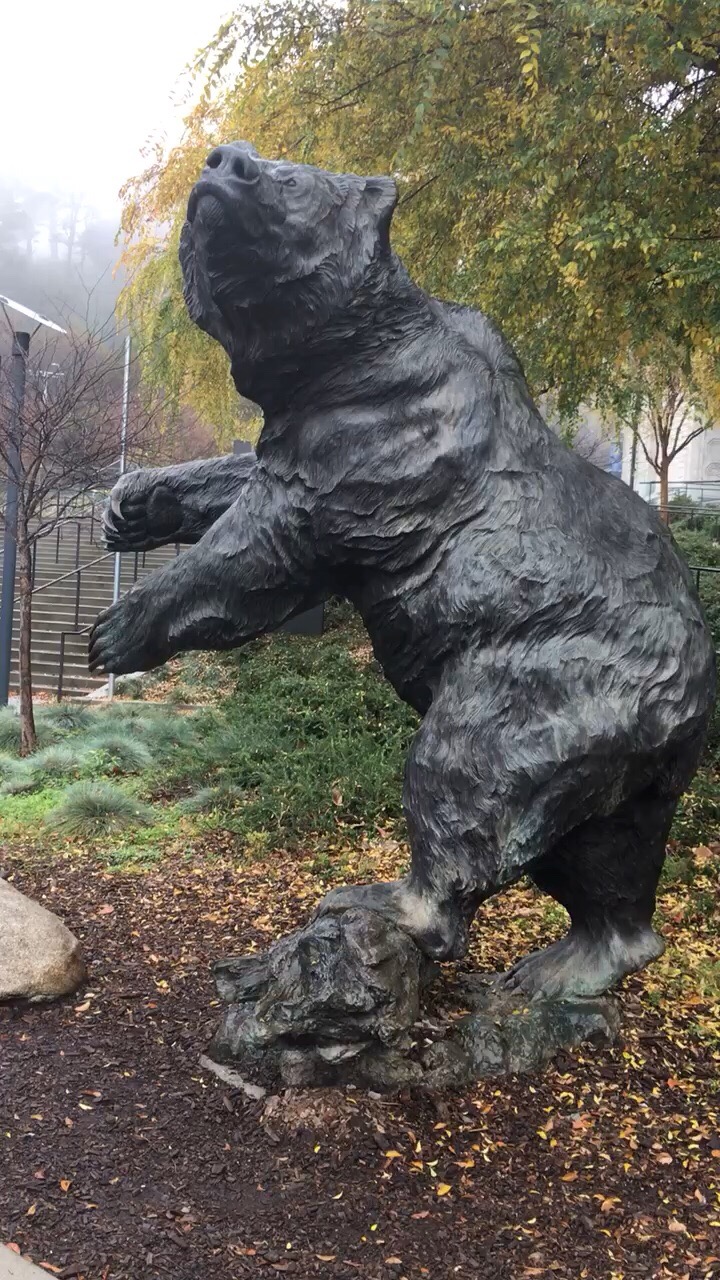 加州大学伯克利分校 熊雕像