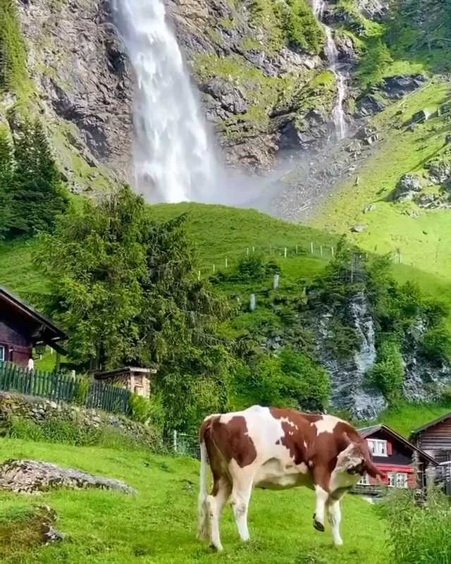 瑞士·少女峰