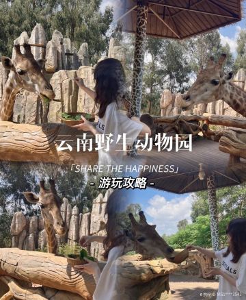 云南野生动物园·鼎膳驿品美食城