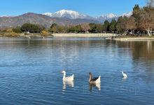 Santa Fe Dam Recreation Area景点图片