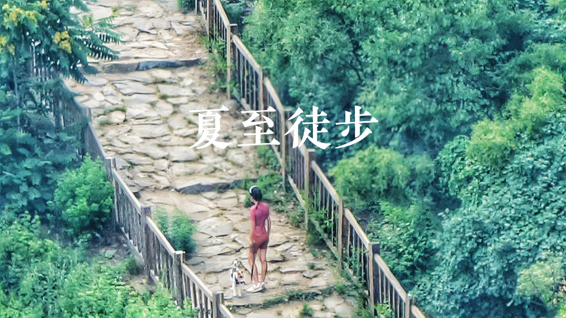 🦮北京遛狗｜徒步｜一条超有名气的登山道
