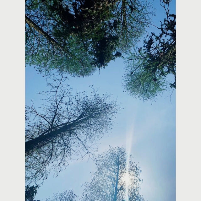 兰亭森林公园大自然户外烧烤