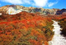 大山寺景点图片