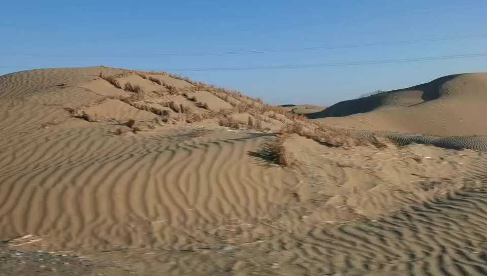 沙漠之海
