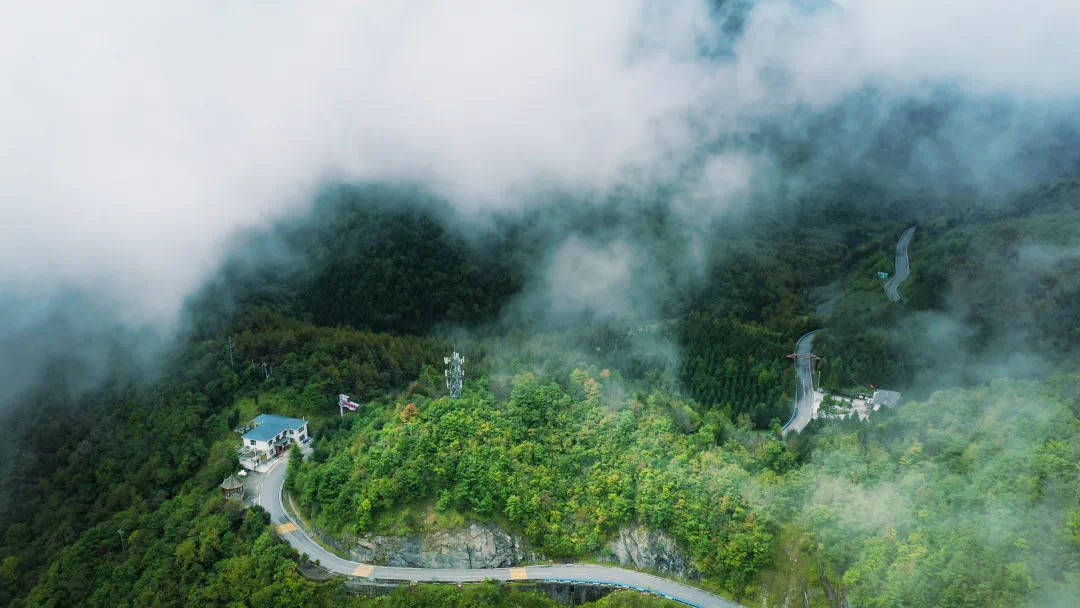 青山绿水间，安康化龙山藏着22℃的夏天