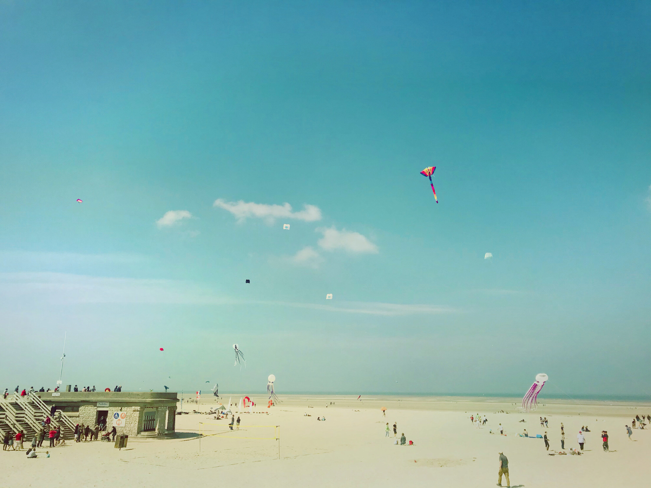 法国-Berck sur mer-风筝节