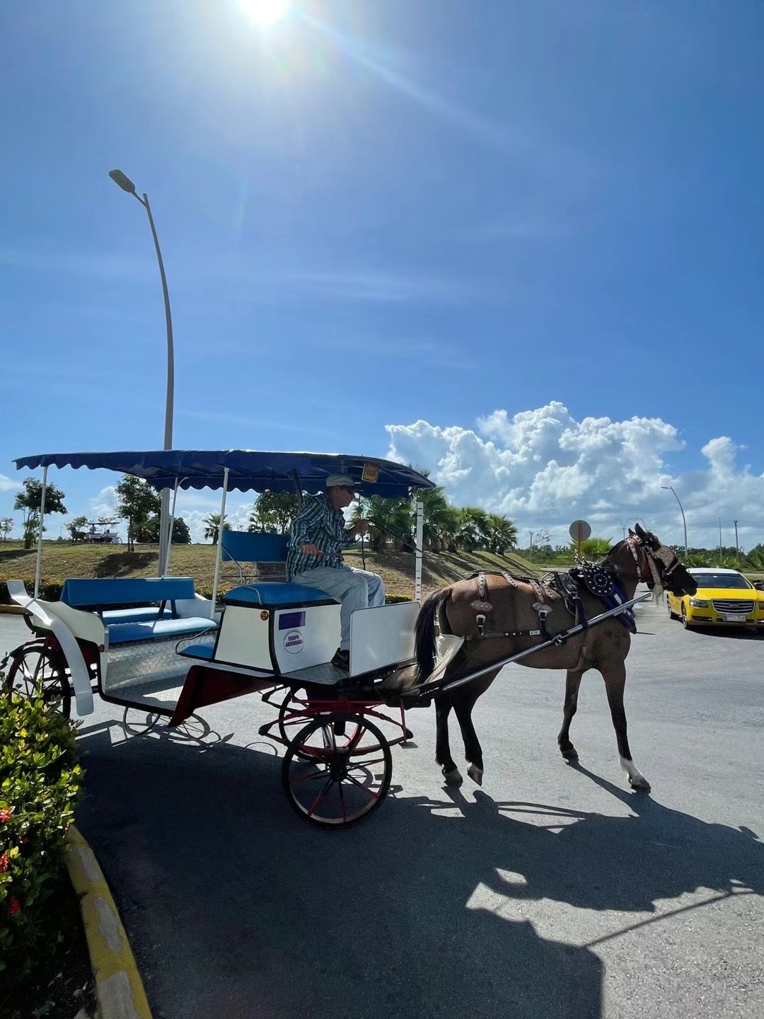 古巴完美度假D3：巴拉德罗市区马车游