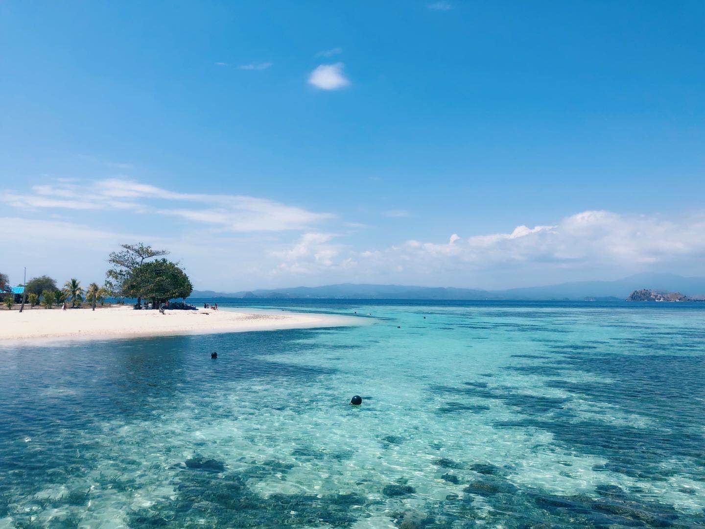印尼｜科莫多岛船宿🚢4日跳岛游  📆行程安排： day1 帕达岛最美观海点看日落，浮潜；月牙滩游玩 