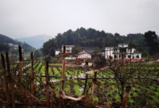 芙蓉山景点图片