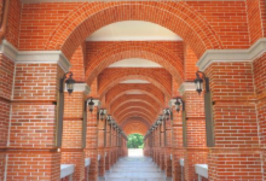 青年会景点图片