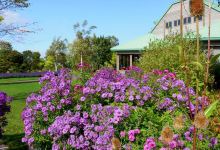 Tokachi Hills Hokkaido景点图片