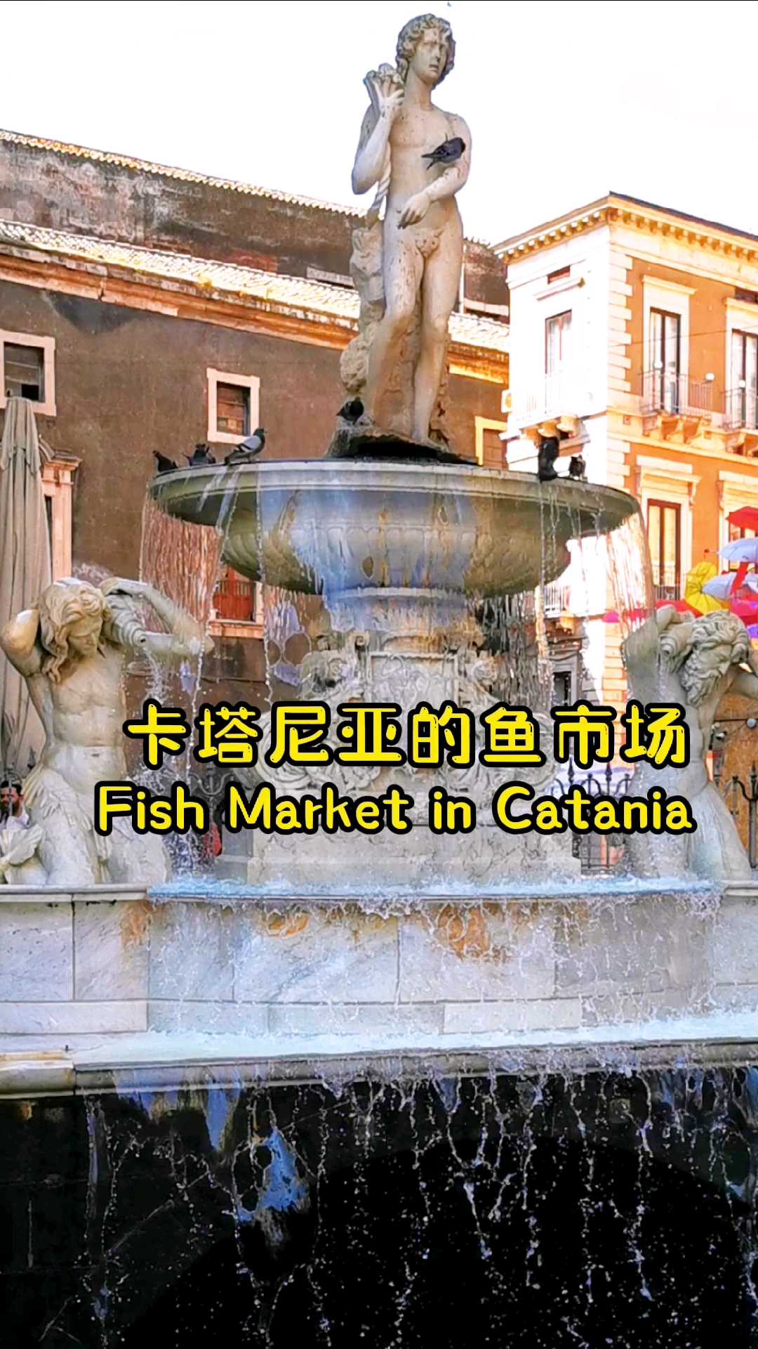 人间烟火，卡塔尼亚的海鲜市场，西西里岛，意大利