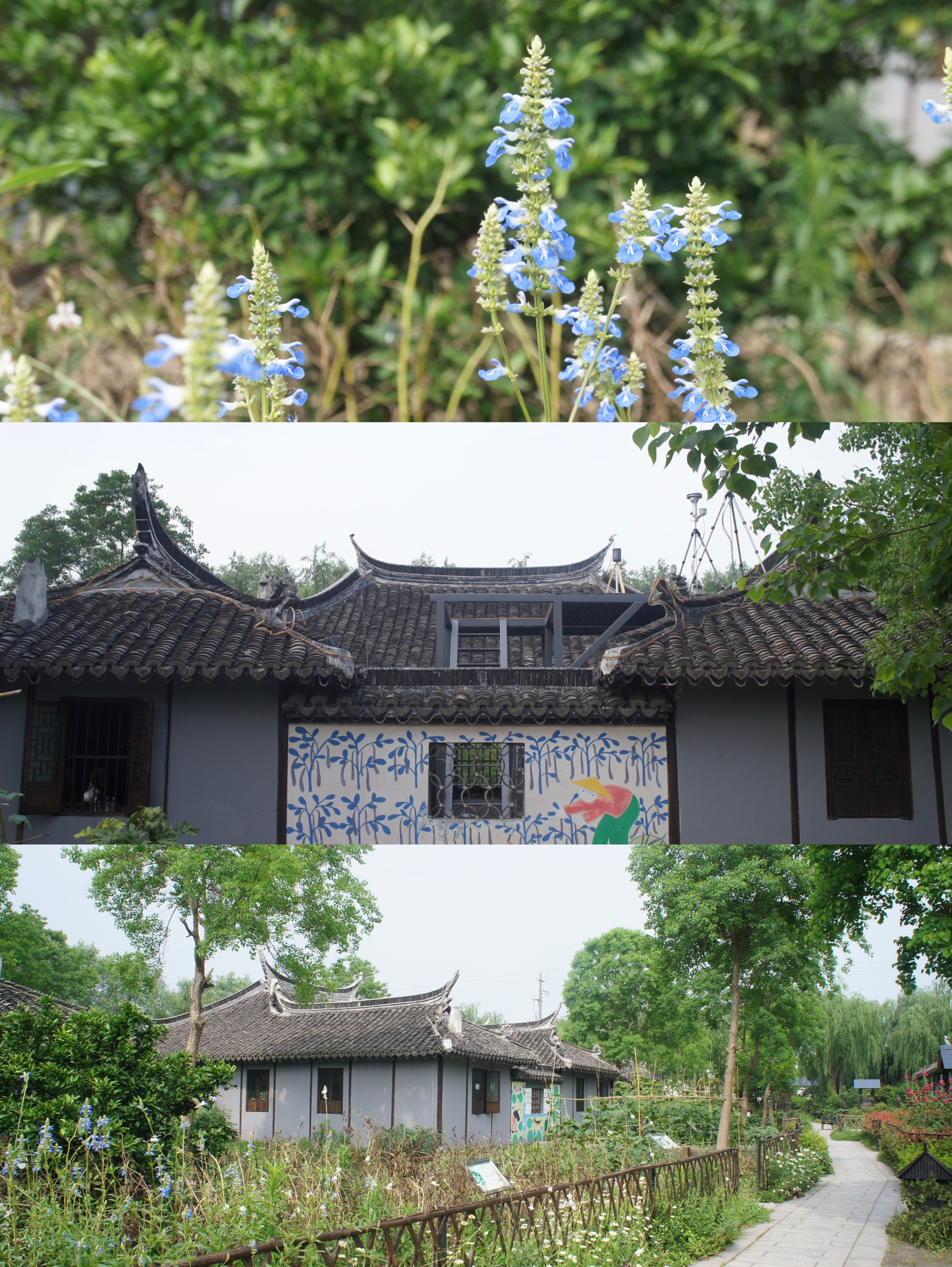 上海｜走进金山画家村，感受画里乡村的美好