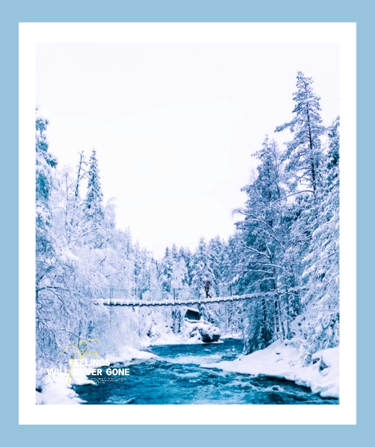 ✨芬兰国家公园美得惊心动魄🎐宛如魔戒雪域🎉