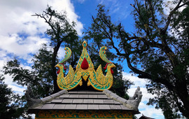 景亢傣旺象庄园