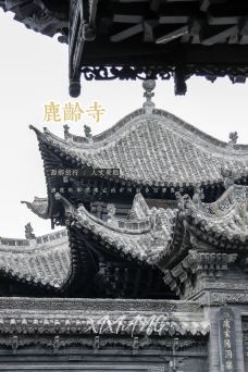 鹿龄寺-西乡-一只不安分的阿May