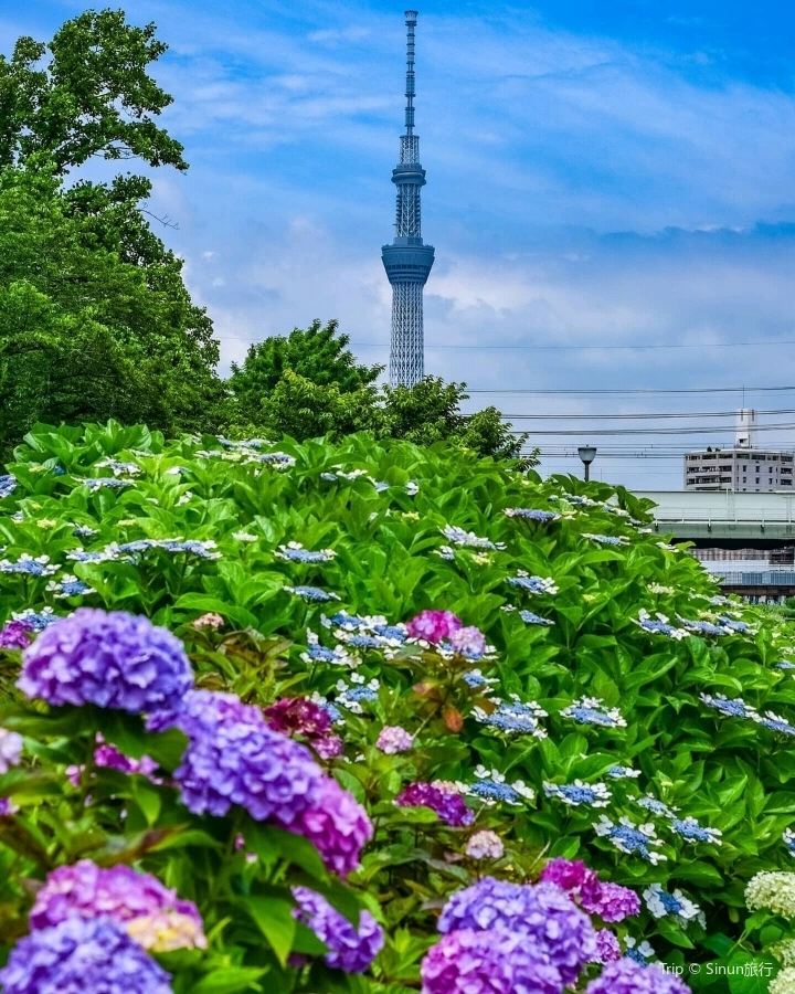 Tokyo Skytree